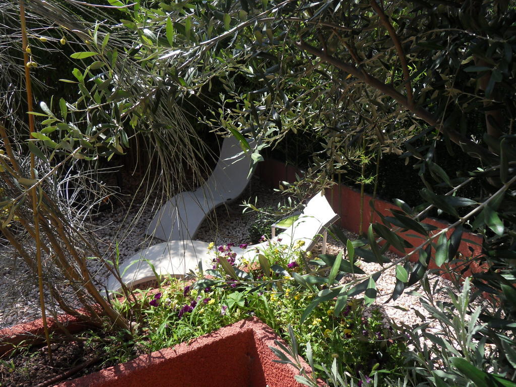 Chambres D'Hotes De La Grone Argelès-sur-Mer Εξωτερικό φωτογραφία